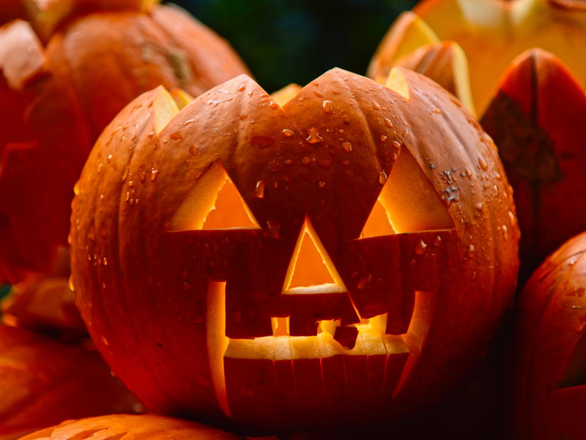 Best Movies To Watch For This&nbsp;Halloween