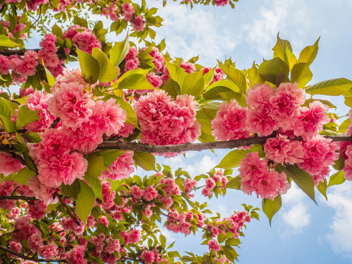 April’s Spotify Playlist